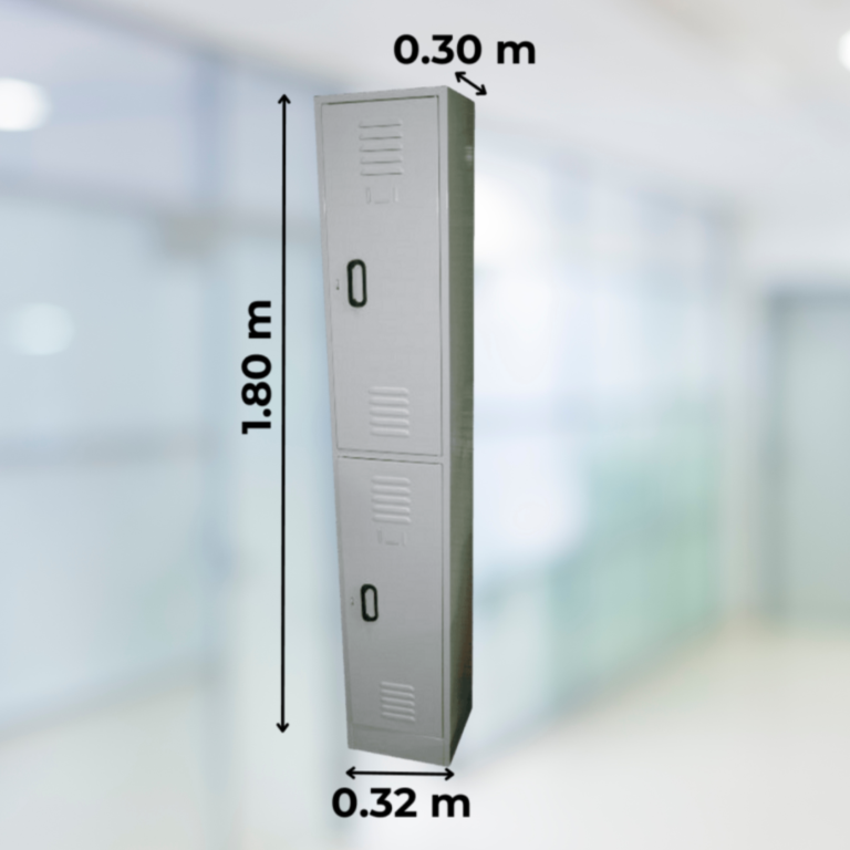 Locker 2 casillas gris